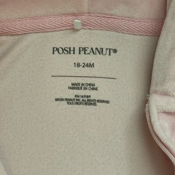 Posh Peanut Pink Velour Hoodie and Pants Set 18-24mo - Picture 6 of 7